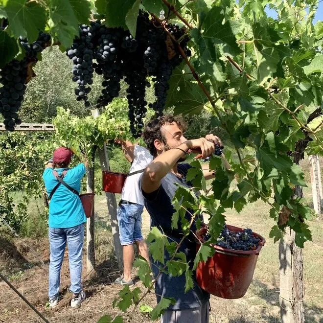Passione Natura Proefpakket (Abruzzo)