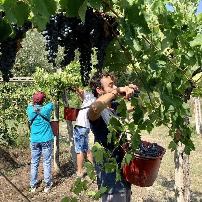 Passione Natura Proefpakket (Abruzzo)