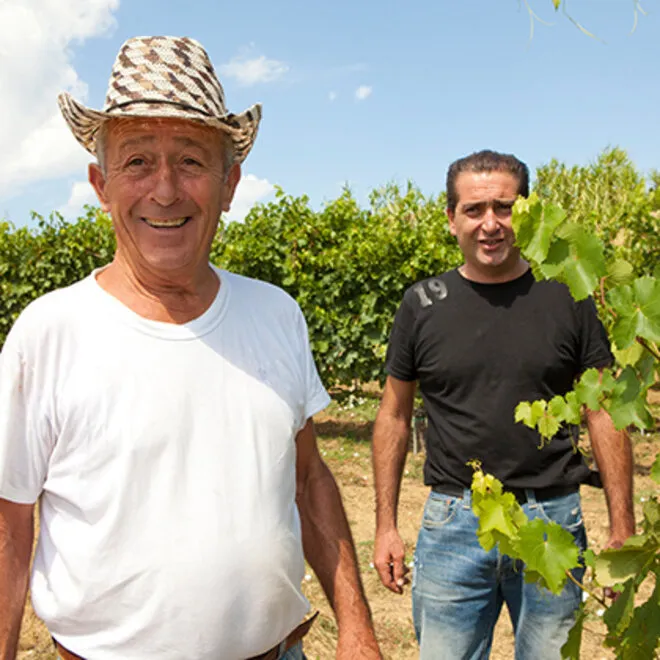 Cimarelli Probierpaket