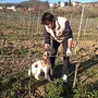 Garoglio Davide Tasting Case (Piedmont)