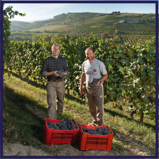 Francone Tasting Case (Piedmont)
