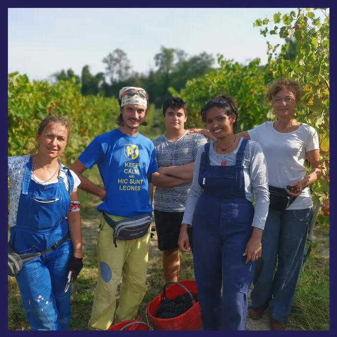 Cordara Tasting Case