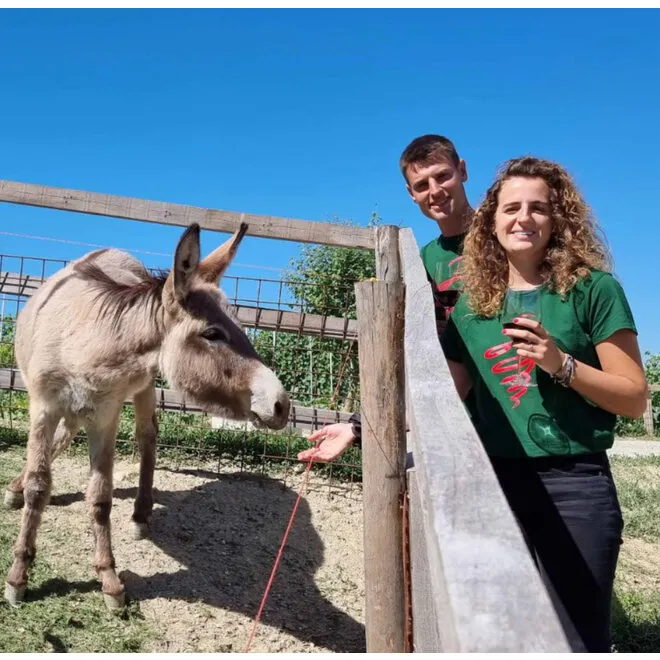 Agnelli Viassone Probierpaket