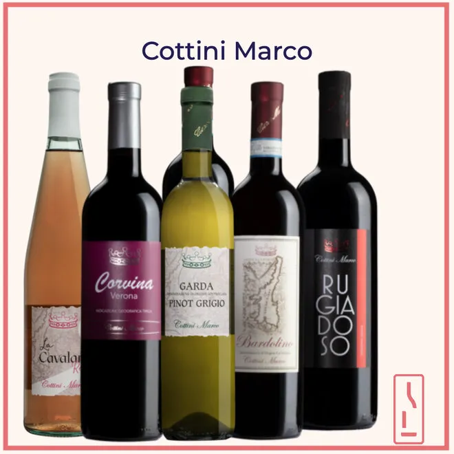 Cottini Tasting Case