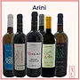 Arini Vini Tasting Case