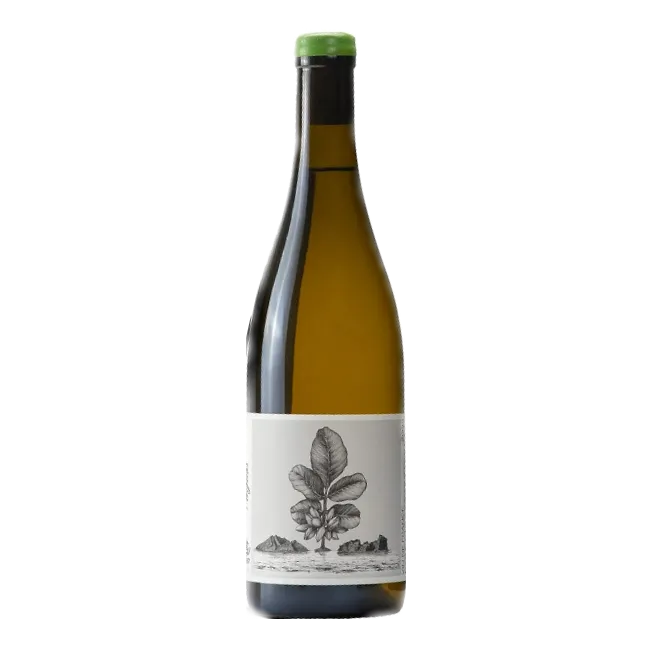 Aigine Blanc