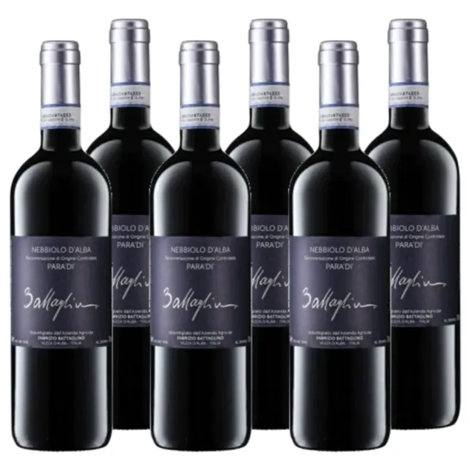 Nebbiolo d’Alba Paradi' DOC 2023