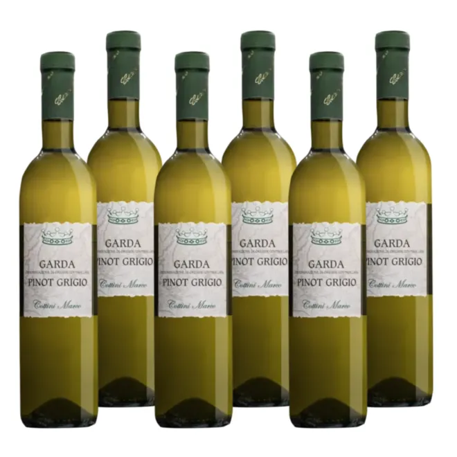 Pinot Grigio DOC 2025