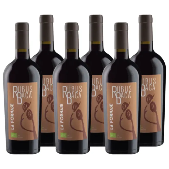 Rubus baca rosso IGP