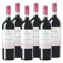 ‘Centobricchi’ Barbera D’Alba Superiore DOC
