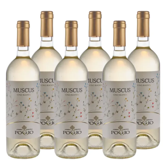 'Muscus' Dry Moscato d'Asti DOC