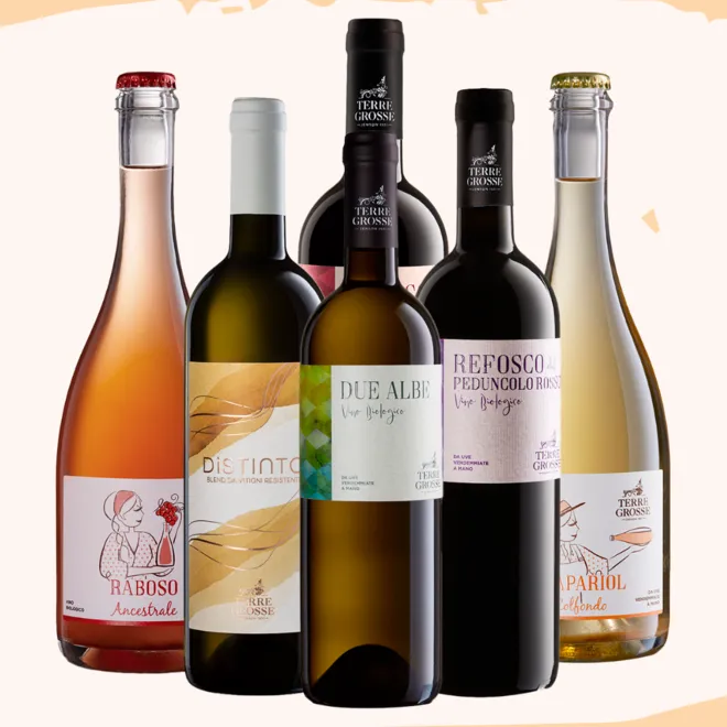 Terre Grosse Probierpaket