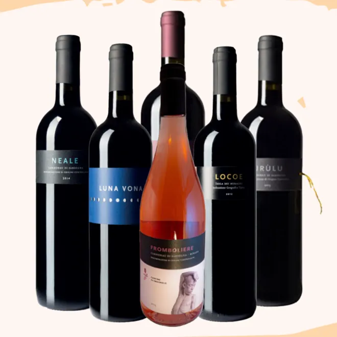 Cantine di Orgosolo Tasting Case (Sardinia)