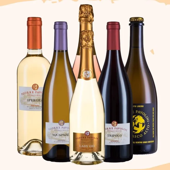 Podere Pavolini Tasting Case (Emilia-Romagna)