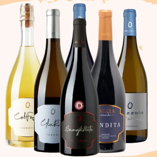 Mazzola Tasting Case (Le Marche)