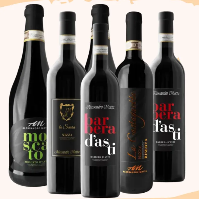 Alessandro Motta Tasting Case (Piedmont)