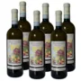 Monferrato DOC Bianco Favorita