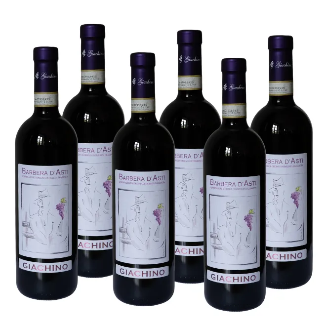 Barbera d'asti DOCG Giachino 2024