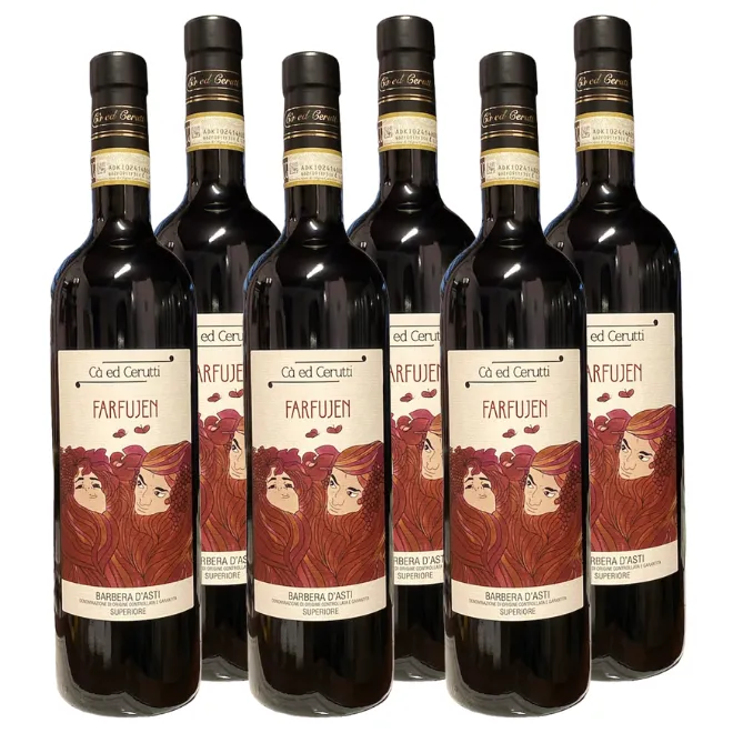 'Farfuien' Barbera d'Asti Superiore DOCG 2023