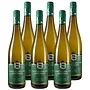 Riesling Halbsüß 2023