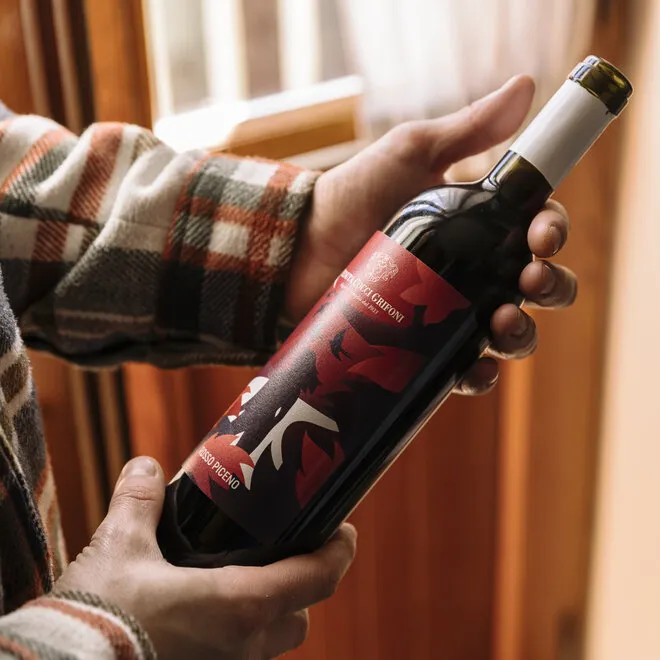 ‘Le Rondini ‘ Rosso Piceno DOC