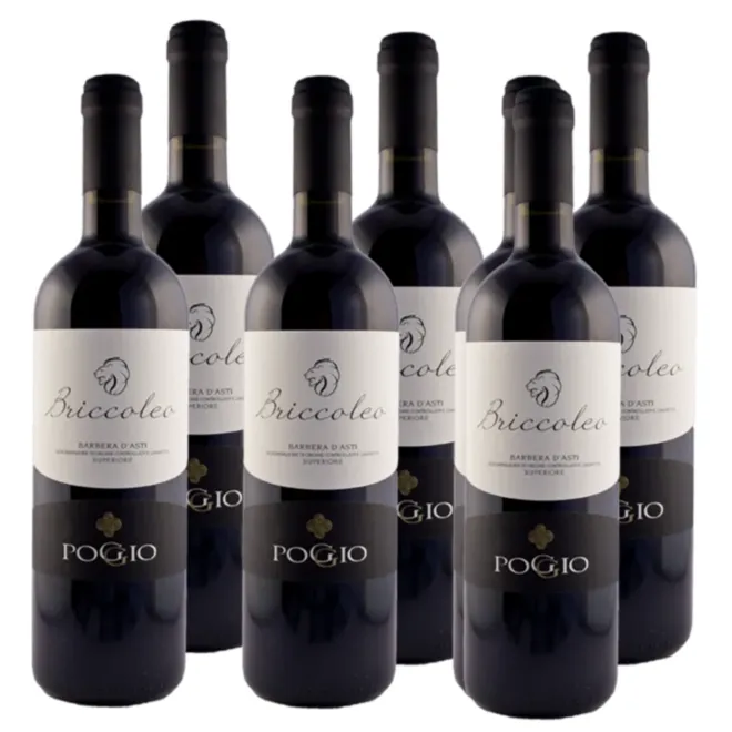 Briccoleo' Barbera d'Asti Superiore DOCG 2018