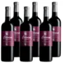 Corvina Verona Rosso IGT 2019