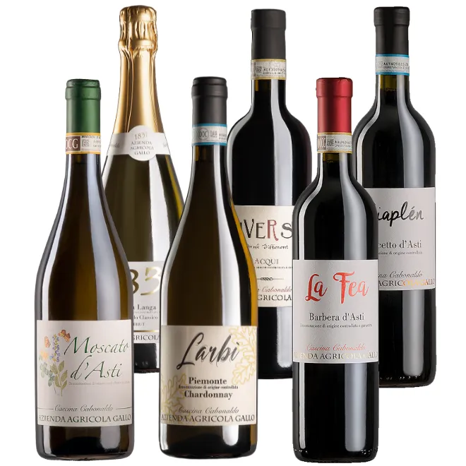 Azienda Agricola Gallo Tasting Case