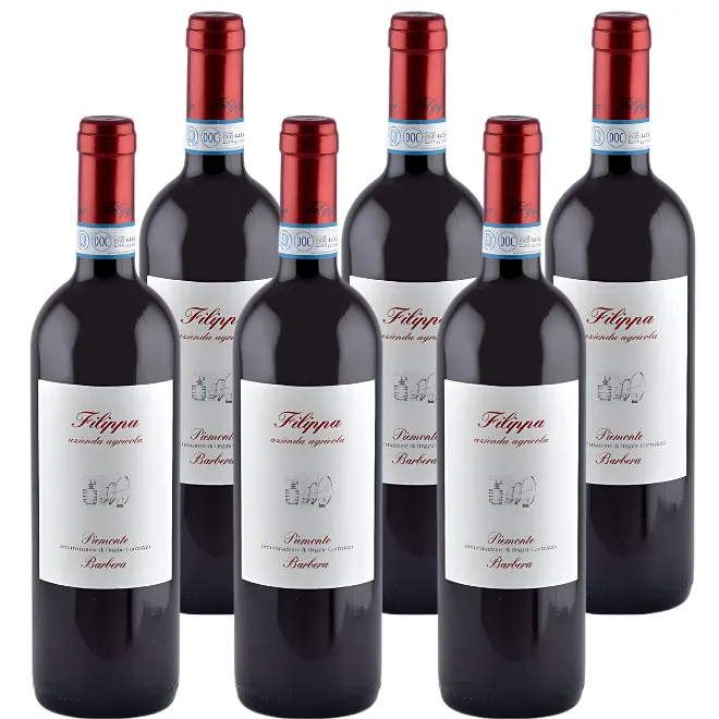 Piemonte DOC Barbera 2024