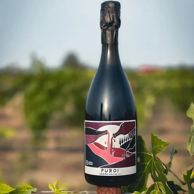 'PURO!' Lambrusco Rosso Emilia IGT