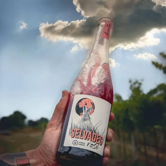 'Selvadeg' Lambrusco Rosato Emilia IGT Pet-Nat