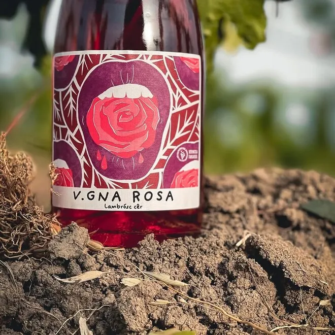 'Vigna Rosa' Lambrusco Rosato Emilia IGP