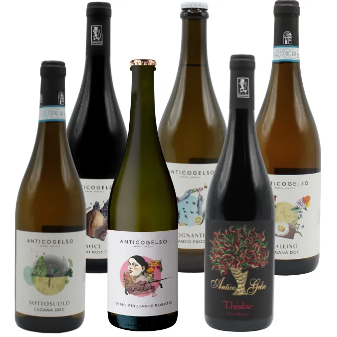 Antico Gelso Tasting Case