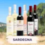Sardegna Tasting Box