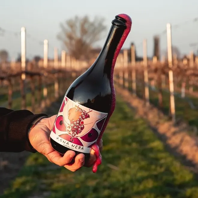 'Vigna Nera' Lambrusco Rosso Emilia IGP