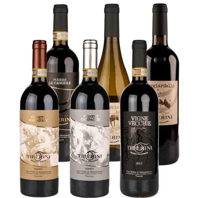 Tiberini Tasting Case