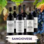 Sangiovese Tastingpack