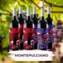 Montepulciano Tasting Set