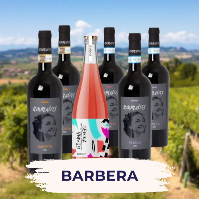Barbera Probierpaket