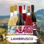 Lambrusco Tastingset