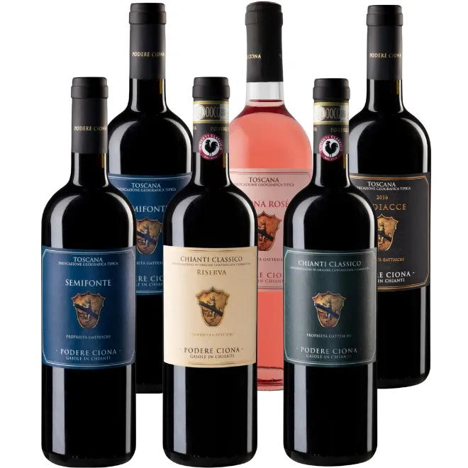 Podere Ciona Tasting Case (Tuscany)