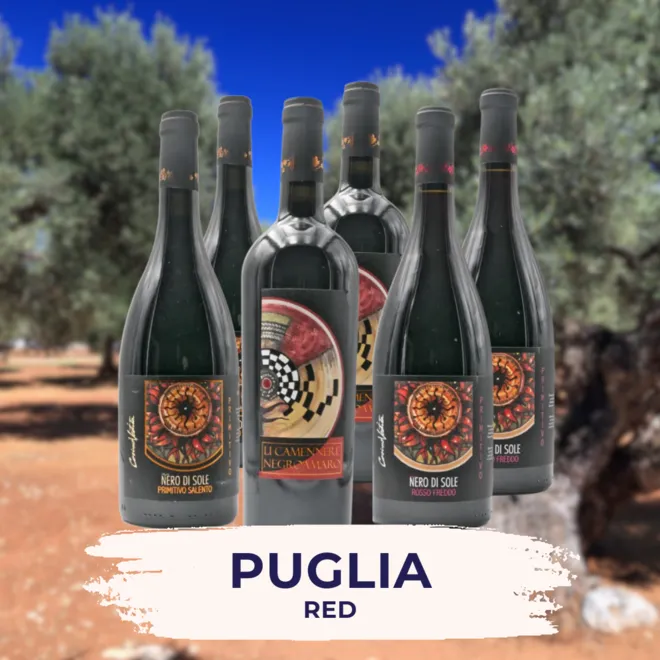Puglia Red Tasting Case