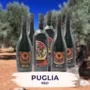 Verkostungspaket Puglia Rot