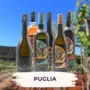 Puglia Tasting Package
