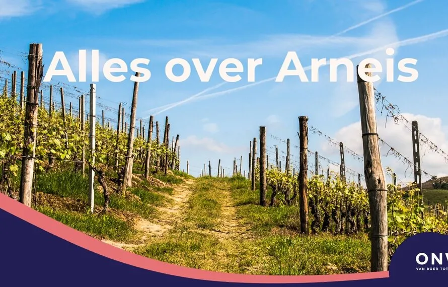 Arneis. de lastpak van Piemonte