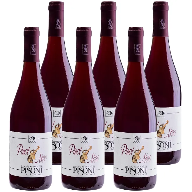 Pinot Nero Vigneti delle Dolomiti IGT 2022