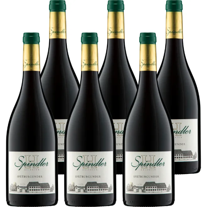 Spätburgunder Rotwein Trocken Gutswein