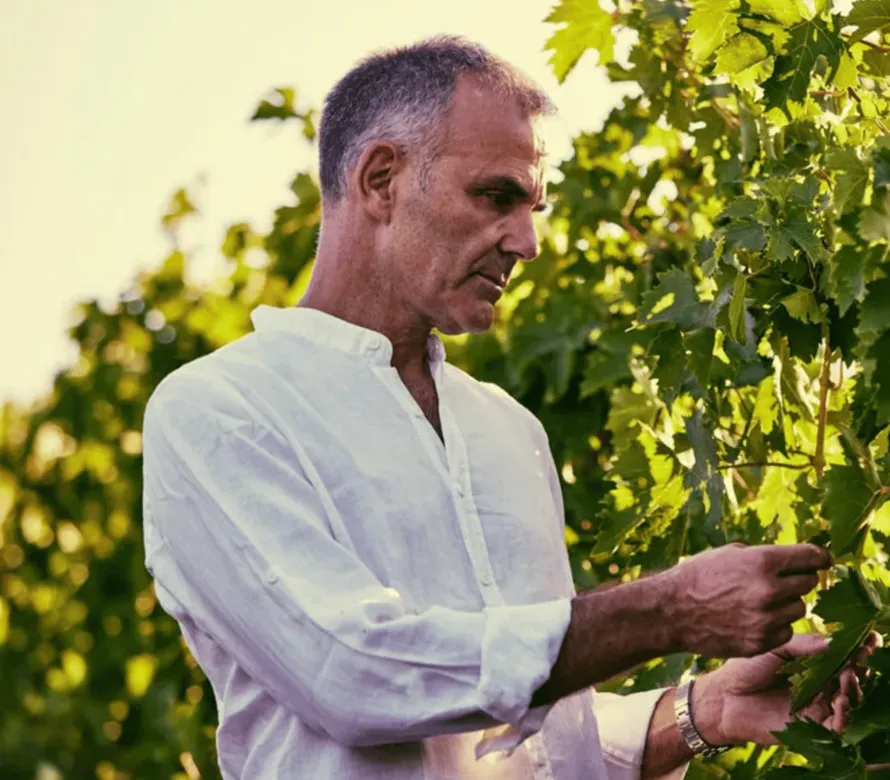 Wijnmakers masterclass Montali – Abruzzo, Italië