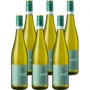 'Meister:Werk' Riesling Kabinett Lieblich