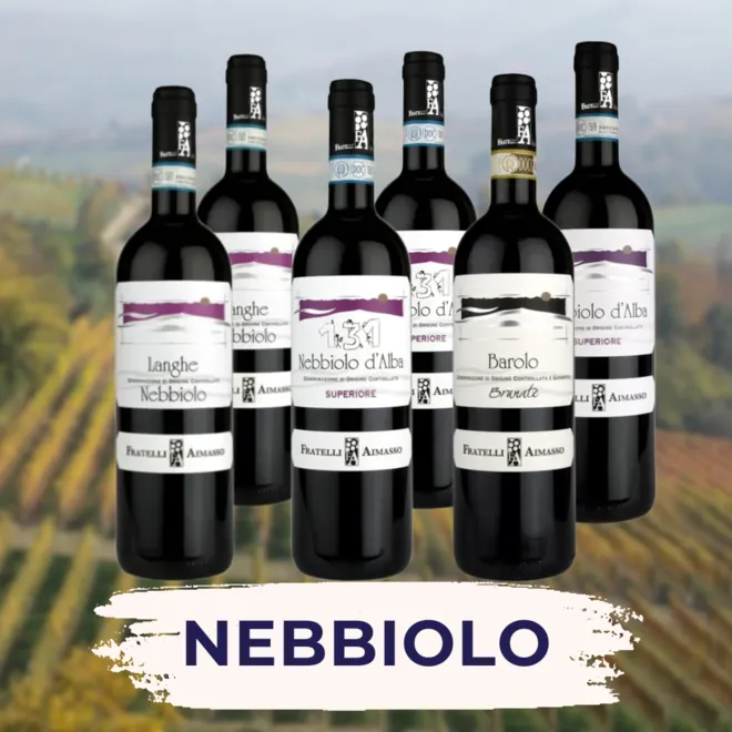 Nebbiolo  Probepaket